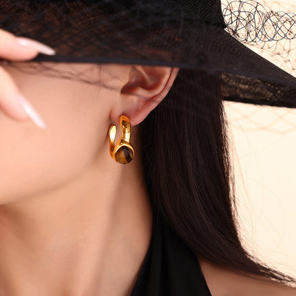 Stainless Steel Tigerite Ring and C-Hoop Earrings Set - Image 2